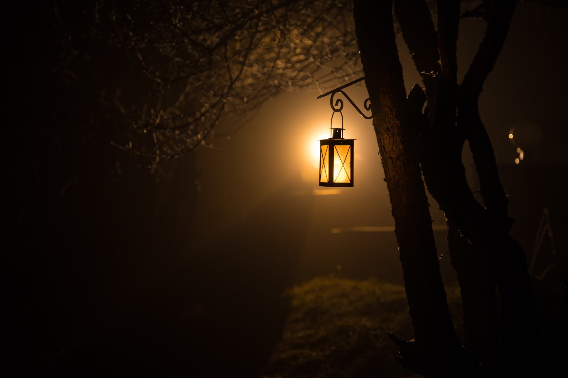 Rescued From Darkness, Living in the Light National Day of